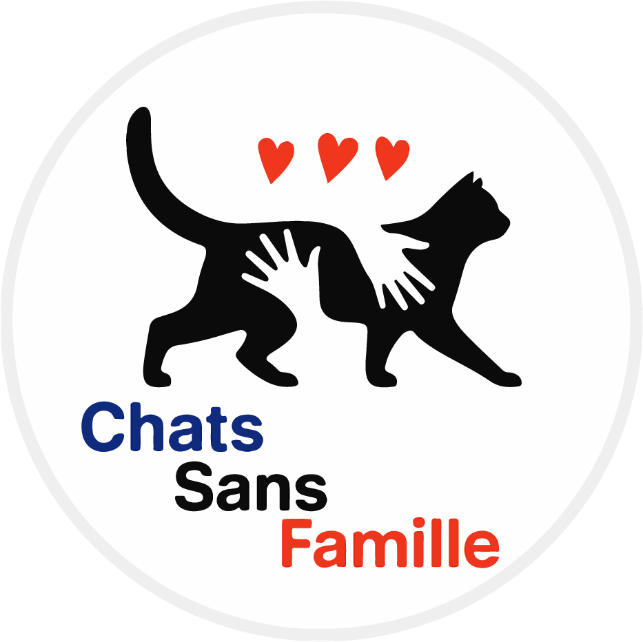 Chats sans famille